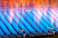 Bryniau gas fired boilers